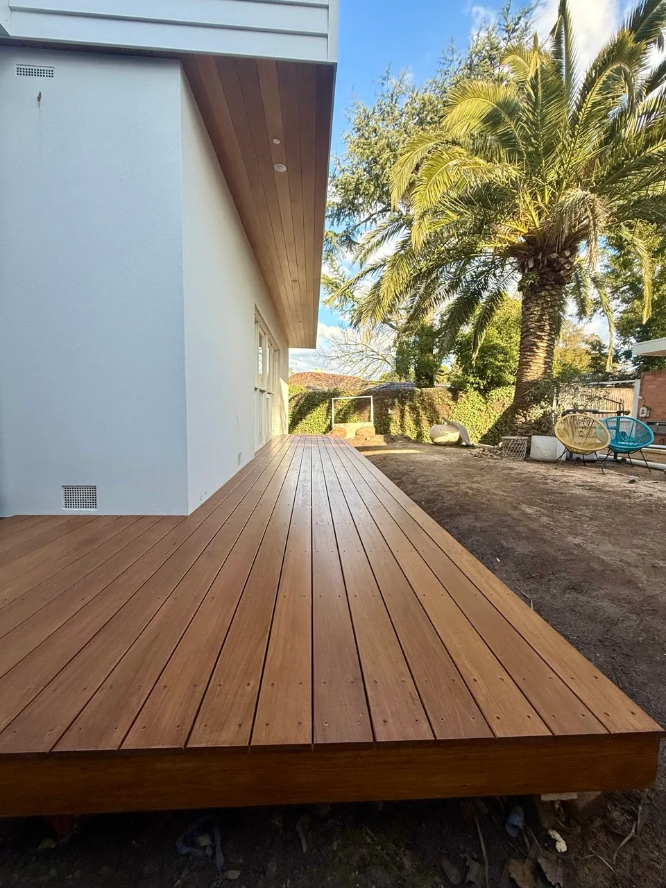 Merbau rear deck beside the palm